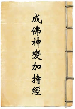 大毗卢遮那成佛神变加持经